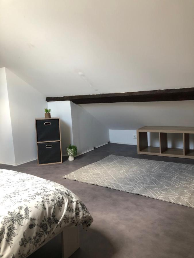 Apartamento Le Petit Graoully Metz Exterior foto